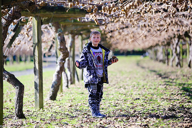 New Zealand – Một điểm đến nhiều trải nghiệm cho cả gia đình - 1