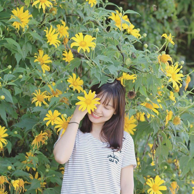 Tháng 11 rồi bạn đã lên Ba Vì chưa, loài hoa này đang nở rực rỡ lắm rồi đấy! - 2