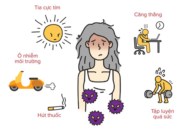 nguy co lao hoa som do o nhiem khong khi, dau la cach ngan ngua? - 3