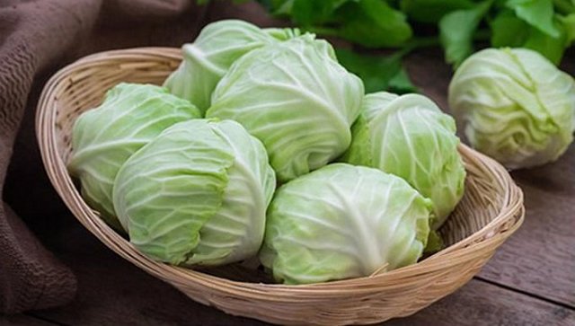 Ra mắt bố mẹ bạn gái bằng 10kg bắp cải, chàng trai nhận cái kết không thể đắng hơn - 1