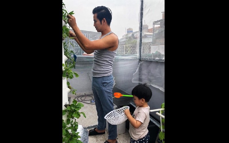 Thậm chí anh còn tự trồng rau trên sân thượng với mong muốn cho vợ con những bữa ăn an toàn nhất.
