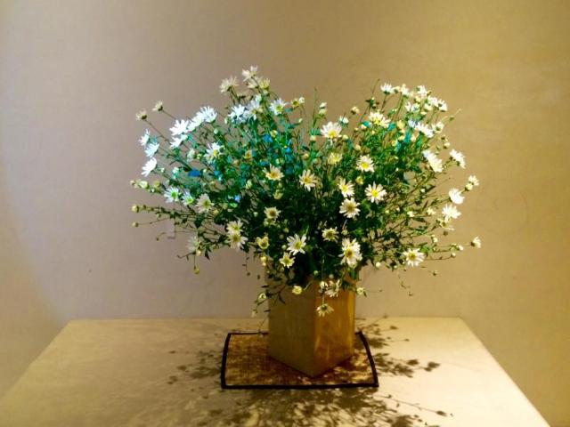 Cho 1 thìa muối vào bình hoa cúc họa mi, chơi cả tuần không thối, không hỏng, đẹp mê li