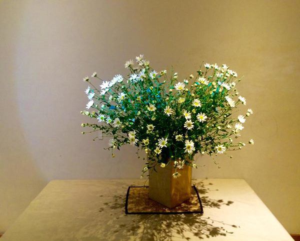 Cho 1 thìa muối vào bình hoa cúc họa mi, chơi cả tuần không thối, không hỏng, đẹp mê li - 4