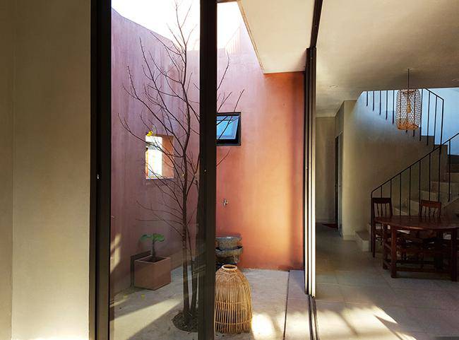 Vườn rau 7 bậc thang trên mái nhà ở Quảng Ngãi lên báo Mỹ - 13