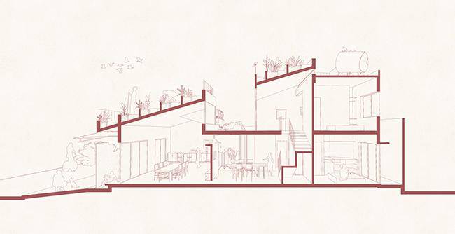 Vườn rau 7 bậc thang trên mái nhà ở Quảng Ngãi lên báo Mỹ - 20