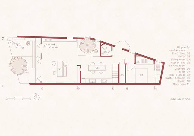 Vườn rau 7 bậc thang trên mái nhà ở Quảng Ngãi lên báo Mỹ - 18