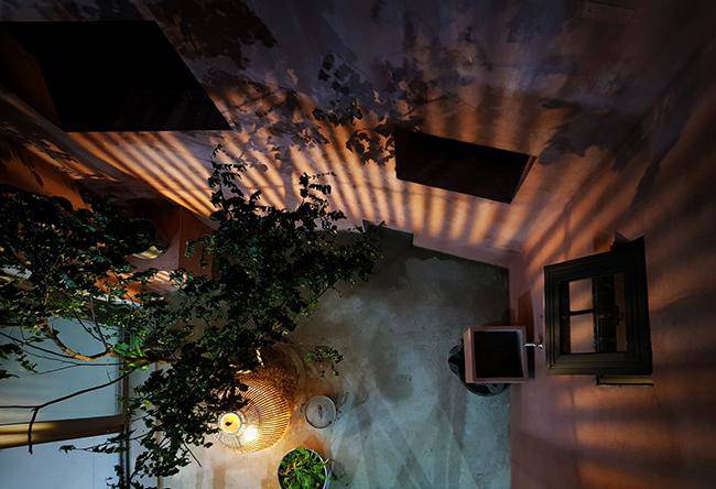 Vườn rau 7 bậc thang trên mái nhà ở Quảng Ngãi lên báo Mỹ - 17