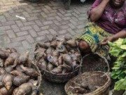 Xem ăn chơi - Hốt hoảng trước những thực phẩm nhìn thôi đã thấy sợ ở chợ châu Phi