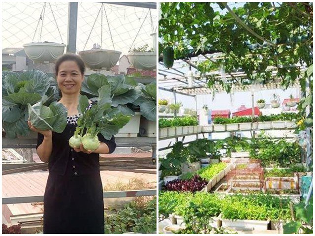 Bà mẹ Hà thành chi mạnh tay thiết kế 100 chậu rau trên sân thượng