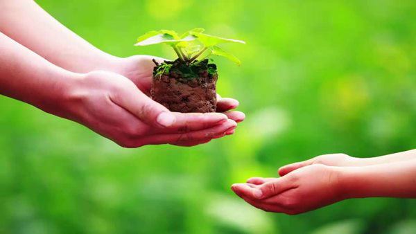 5 cách hóa giải vận xui, dọn đường nghênh tài đón lộc, ai không biết thiệt cả đời - 3