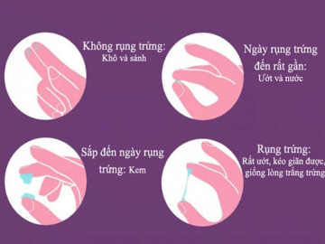 Cách tính chu kỳ rụng trứng chị em nên biết