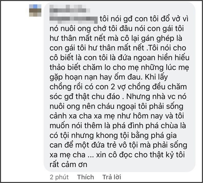 Mẹ Ngọc Lan đáp trả khi bị cho là ám chỉ con ruột sai, Thanh Bình “nuôi ong tay áo” - 4