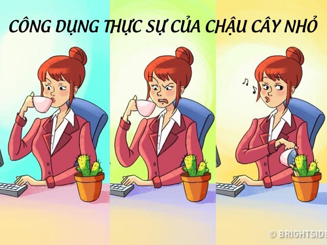 Cười bò với những sự thật hài hước chỉ ai là dân văn phòng mới hiểu