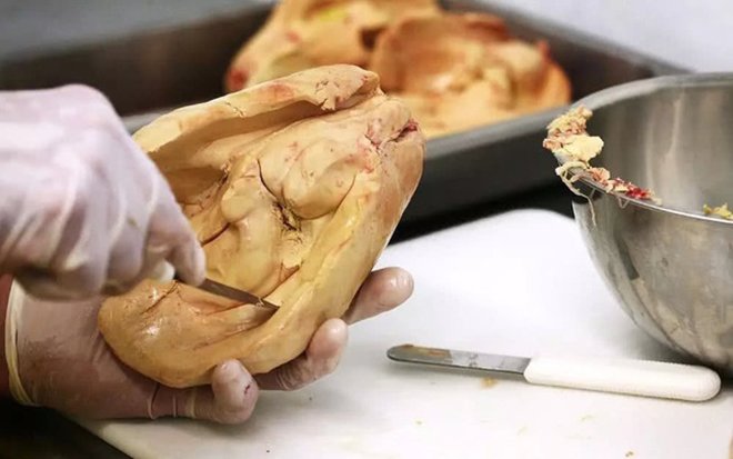 Gan ngỗng: đặc sản tinh hoa nước Pháp hay sự tàn nhẫn ghê rợn của con người? - 4