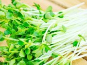 Bếp Eva - Những loại rau củ không nấu chín sẽ thành 'thuốc độc'