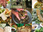Lifestyle - Cửu độc đặc sản nổi danh nhất đất Sơn La là những "tuyệt phẩm" nào?