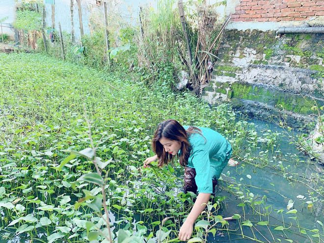 Bị chê amp;#34;làm màuamp;#34; vì đi hái rau bày đặt trang điểm, cô gái xinh đẹp đáp trả nhẹ nhàng - 1