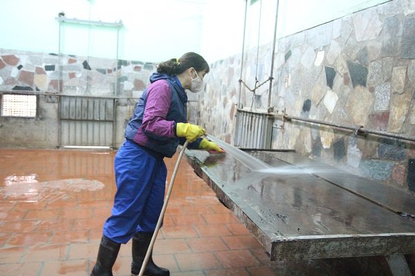 Người phụ nữ hàng ngày chải bờm, bắt rận, chơi với sư tử nặng gần 200kg như chơi với chó - 2