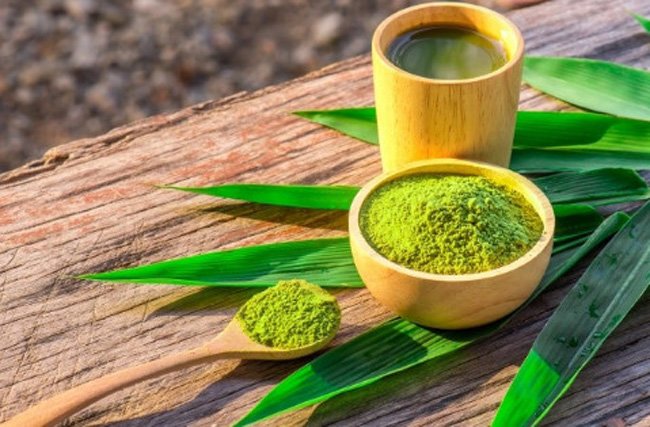 Cho mèo cưng liếm mặt để trị mụn, cô gái trẻ nhận nhiều gạch đá - 6