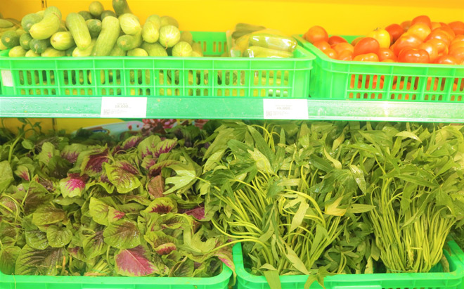 Không cần đi chợ sáng, chợ chiều” rau vẫn tươi