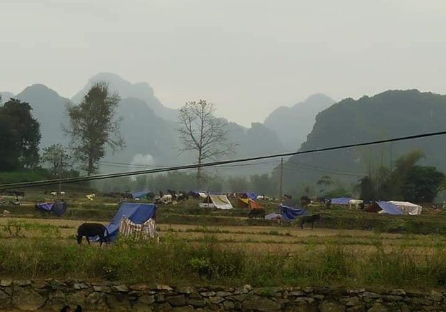 Tin tức 24h: Hé lộ lời khai rùng rợn của mẹ kế sát hại con chồng, giấu xác phi tang - 2