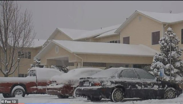 Tới kiểm tra sức khỏe cho cụ bà, nhân viên y tế phát hiện điều kinh hoàng trong tủ lạnh - 1