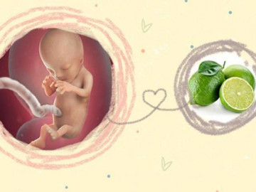 Thai nhi 12 tuần: Bé đã biết phản xạ, mẹ hết ốm nghén