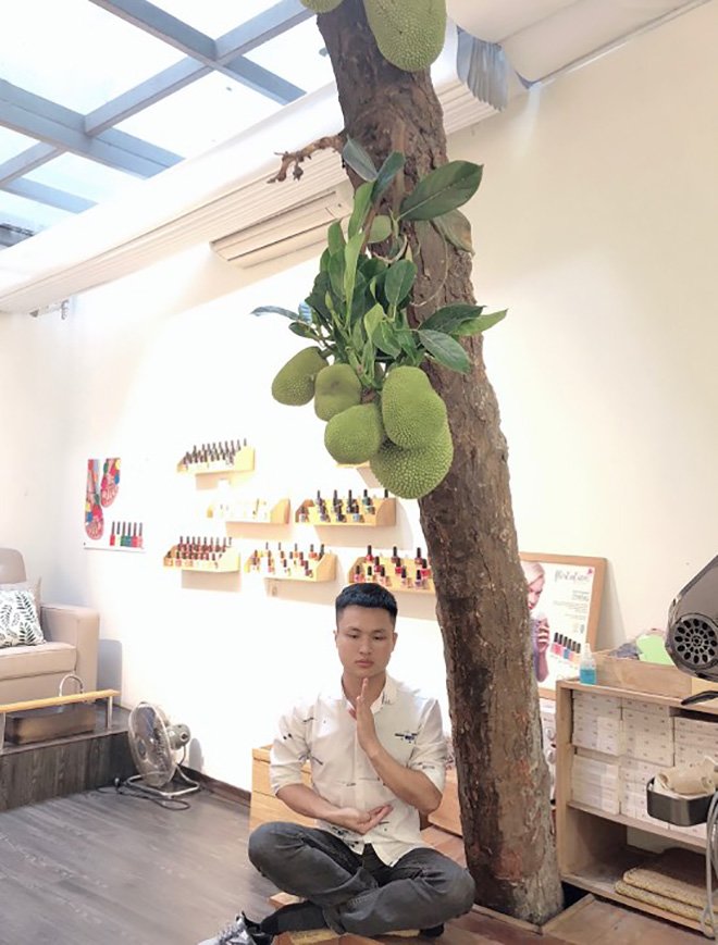 Ảnh cây mít trĩu quả mọc giữa nơi làm việc bị bình luận là giả: Người chụp lên tiếng - 3