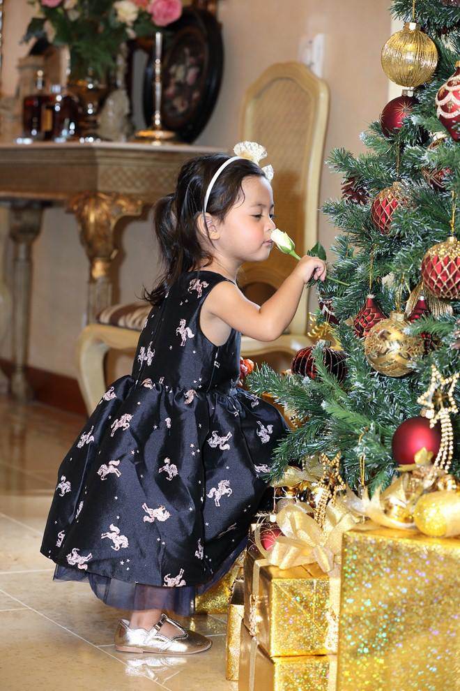 Vũ Cẩm Nhung mừng sinh nhật con gái nhỏ đáng yêu có được sau 9 năm chờ đợi - 7