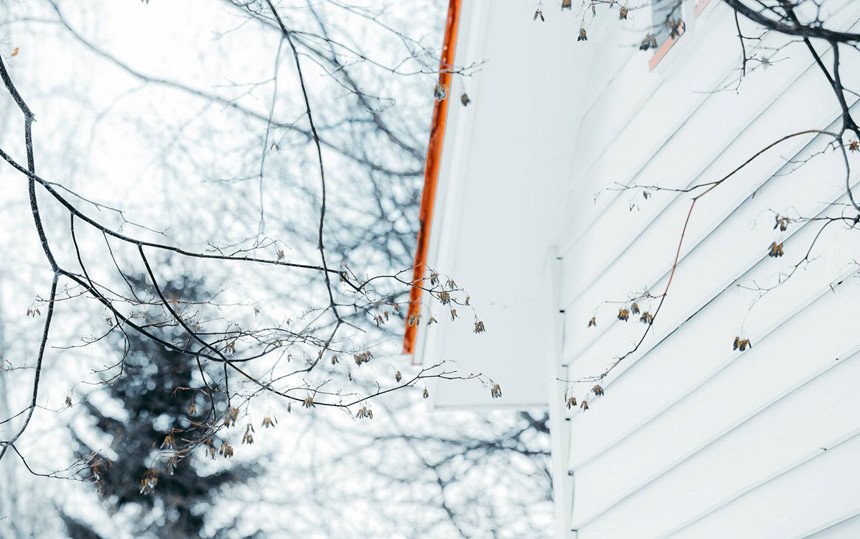 Ngỡ ngàng ngắm bụi kim cương đẹp huyền ảo mùa tuyết trắng Nhật Bản - 6