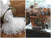 Nhà đẹp - Ngủ dậy thấy 5 dấu hiệu này, "chạy ngay đi" bởi nhà bạn sắp đón tai họa