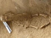 Xem ăn chơi - Đào ngôi mộ 2.100 tuổi, phát hiện điều khủng khiếp bên trong