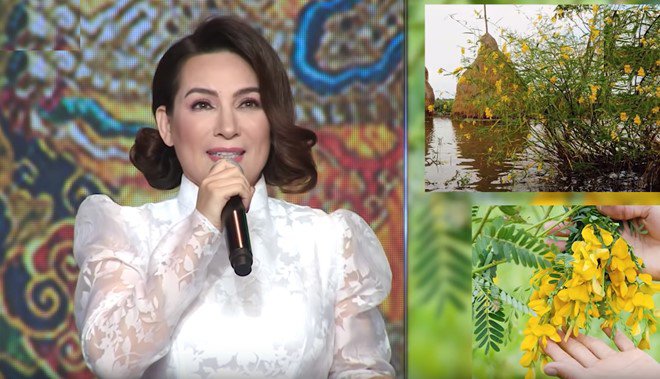 Phi Nhung nức nở lần đầu nói về mẹ: Mẹ đi lấy chồng, lúc mẹ mất mới dám cầm chân - 3