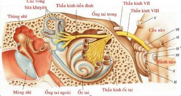Vợ bị rối loạn tiền đình, đi khám bất ngờ khi biết nguyên nhân có thể từ amp;#34;chuyện ấyamp;#34; - 2