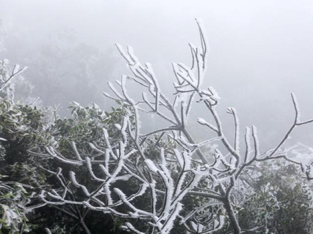 Miền Bắc sắp rét đậm đến 0 độ C, siêu bão Kammuri giật cấp 17 đang tiến vào biển Đông