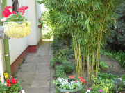 Nhà đẹp - 5 loại cây trồng trước nhà hút may mắn, mang tài lộc tới