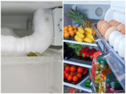 Nhà đẹp - 4 dấu hiệu tủ lạnh đang "kêu cứu", khắc phục ngay kẻo hỏng sớm