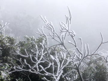 Miền Bắc sắp rét đậm đến 0 độ C, siêu bão Kammuri giật cấp 17 đang tiến vào biển Đông