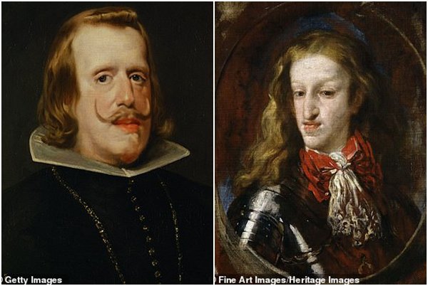 Chiếc hàm bạnh hé lộ sự thật về gia tộc loạn luân hàng trăm năm, giàu nhưng không còn ai - 4