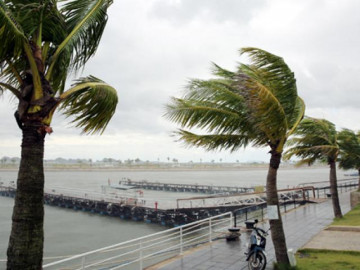 Diễn biến bão số 7: Biển động dữ dội, 11 tàu cá đang nằm trong vùng nguy hiểm của bão