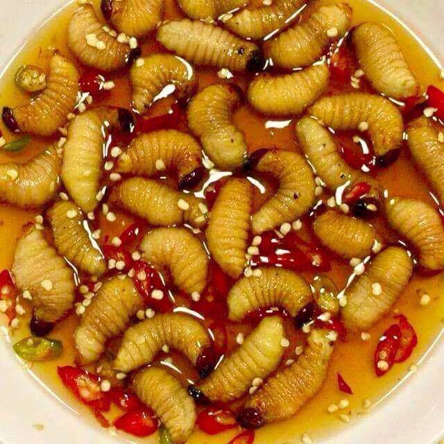 vi sao an duong dua, nhong tam lai bi soc phan ve? - 1