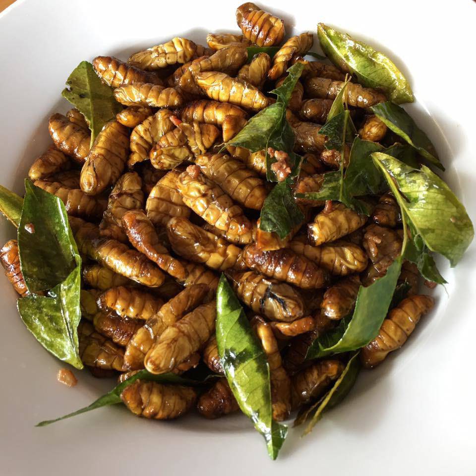 vi sao an duong dua, nhong tam lai bi soc phan ve? - 3