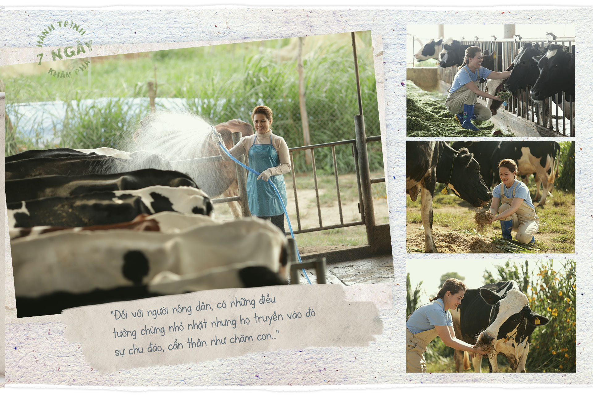 Hành trình 7 ngày khám phá về cách chăm bò sữa đặc biệt của nông dân Cô Gái Hà Lan - 20