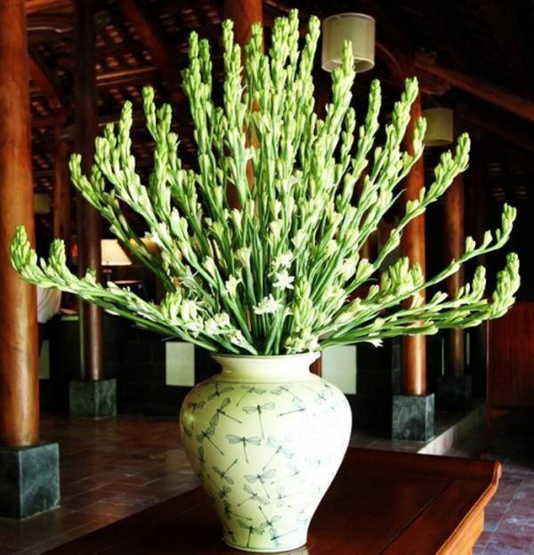 Cúng Rằm chọn đúng 5 loại hoa này, tiền tài tíu tít, buôn gì đắt nấy - 4