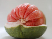 Sức khỏe - Một quả bưởi có tác dụng bằng 9 loại thuốc, nhưng lưu ý điều này mới đạt được hiệu quả