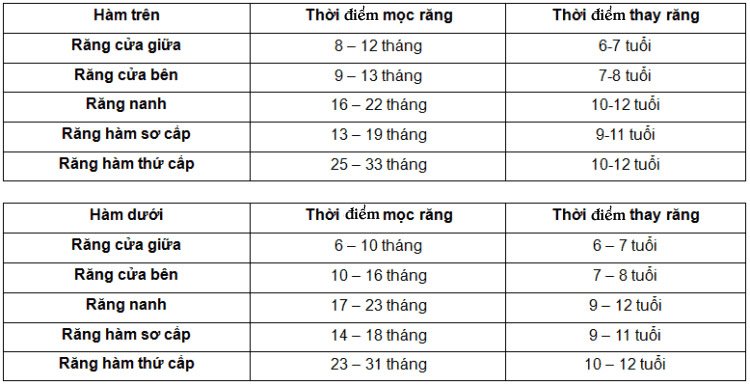 8 Tháng Chưa Mọc Răng: Nguyên Nhân và Giải Pháp Tối Ưu Cho Trẻ