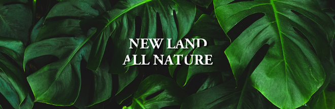 Newland All Nature: Khi thiên nhiên là cội nguồn của mọi vẻ đẹp - 1