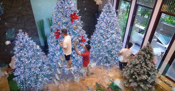 Đàm Vĩnh Hưng mở cửa khoe biệt thự 60 tỷ đón Noel, hứa hẹn đẹp hơn trung tâm thương mại - 6