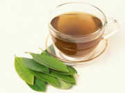 Sức khỏe - Tác dụng uống nước lá vối đối với sức khỏe