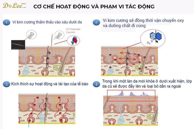 da den luc ban “thay da doi van” - 3